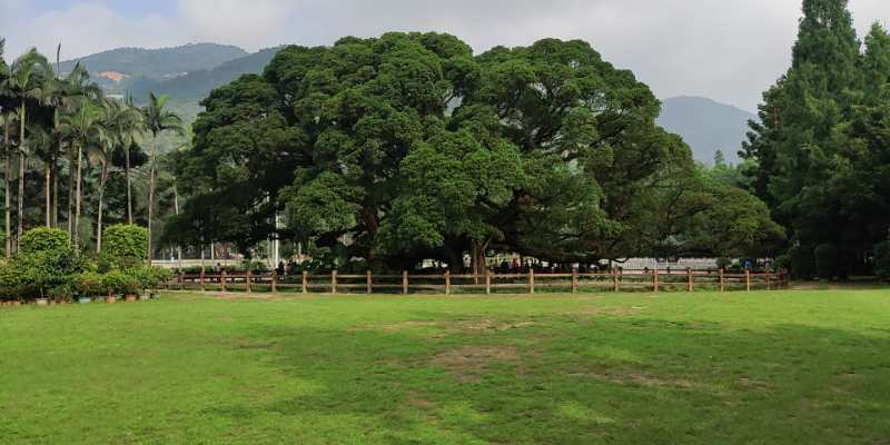 福州華光天銳全體員工于福州國(guó)家森林公園開(kāi)展團(tuán)建活動(dòng)